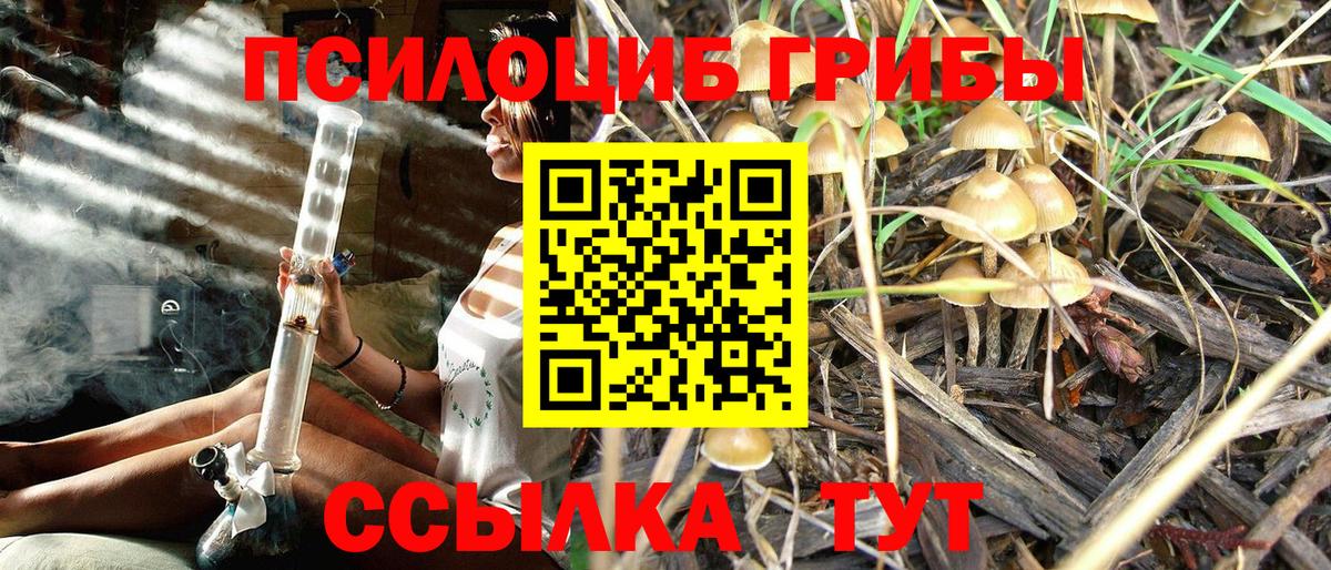 Галлюциногенные грибы ЛСД  Псилоцибиновые грибы ЛСД  Вход с VPN  Татарск 